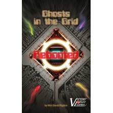 Ghosts in the Grid Rebooted