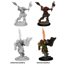 D&D Nolzur's Marvelous Miniatures: Dragonborn Fighter Female