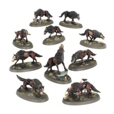 Warhammer Age of Sigmar: Soulblight Gravelords. Dire Wolves