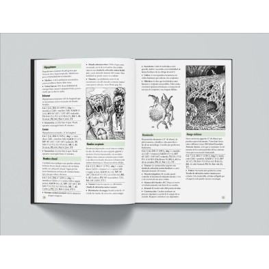 Old-School Essentials: Bestiario