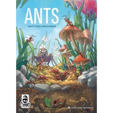 Ants