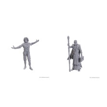 D&D Nolzur's Marvelous Miniatures: Special Edition Baldur's Gate 3 — Volo & Withers