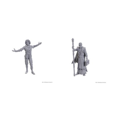 D&D Nolzur's Marvelous Miniatures: Special Edition Baldur's Gate 3 — Volo & Withers
