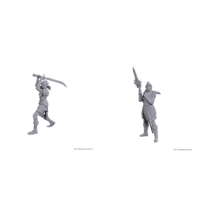 D&D Nolzur's Marvelous Miniatures: Special Edition Baldur's Gate 3 — Lae'zel & Shadowheart