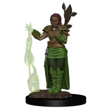 D&D Icons of the Realms Premium Figures: Female Human Druid (Wave 2)