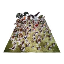 Dragonbane. Peones del Bestiario + mapa