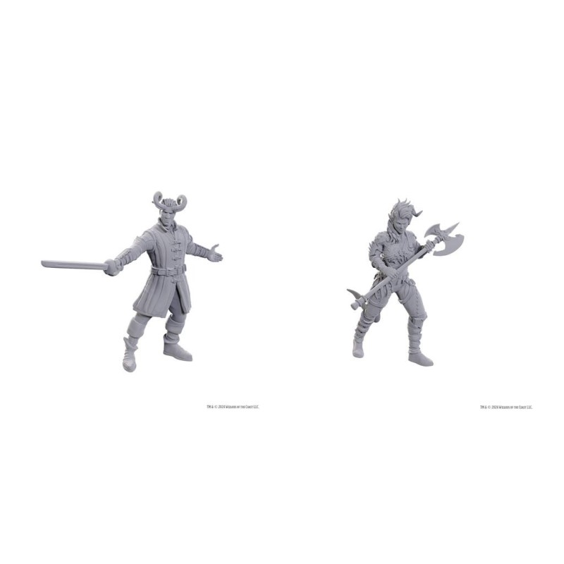 D&D Nolzur's Marvelous Miniatures: Special Edition Baldur's Gate 3 — Wyll & Karlach