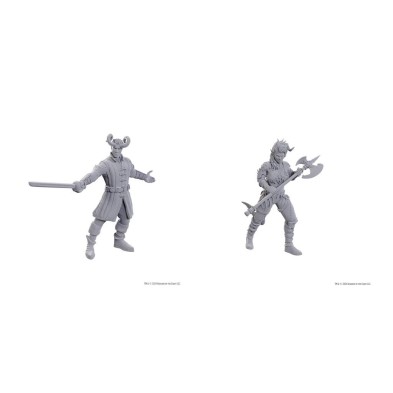 D&D Nolzur's Marvelous Miniatures: Special Edition Baldur's Gate 3 — Wyll & Karlach