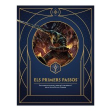 Llumtempesta - Els primers passos