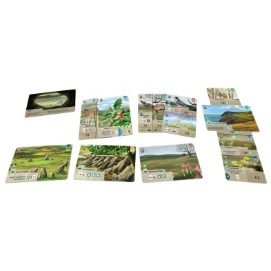 Forest Shuffle: Dartmoor - Exmoor